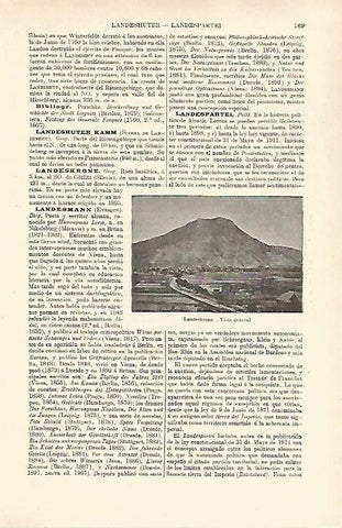 LAMINA ESPASA 26380: Vista de Landeskrone Silesia