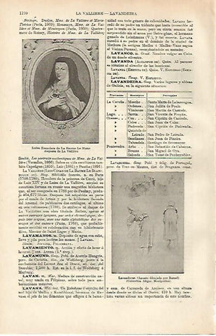 LAMINA ESPASA 26455: Luisa Francisca de la Baume Le Blanc Duquesa de la Valliere