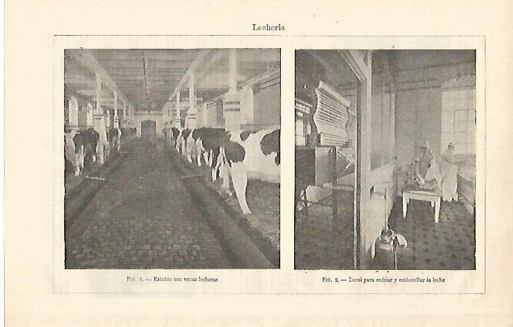 LAMINA ESPASA 26489: Lecheria