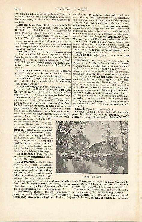 LAMINA ESPASA 26505: Canal de Leipe Alemania