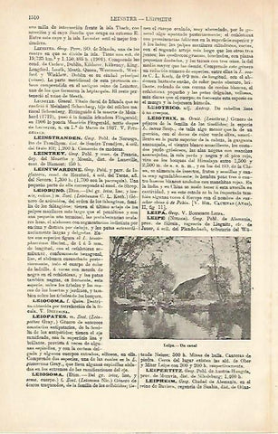 LAMINA ESPASA 26505: Canal de Leipe Alemania