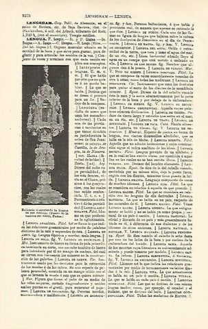 LAMINA ESPASA 26529: Relicario con la lengua de San Antonio en Padua