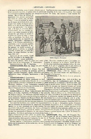 LAMINA ESPASA 26531: Indios lenguas del Paraguay