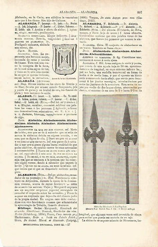 LAMINA ESPASA 15500: Armas de la familia Alabaña