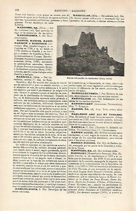 LAMINA ESPASA 15883: ruinas del Castillo de Radicofani Italia