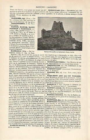 LAMINA ESPASA 15883: ruinas del Castillo de Radicofani Italia
