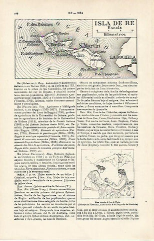LAMINA ESPASA 15998: Mapa de la Isla de Re Italia