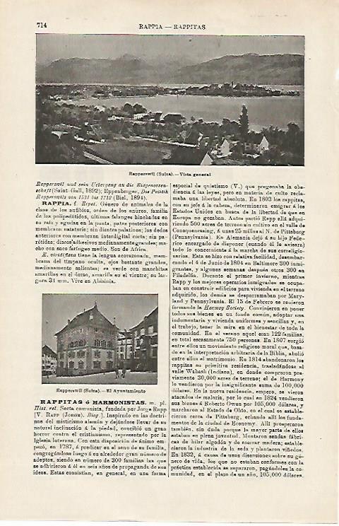 LAMINA ESPASA 15968: Vista de Rapperswill Suiza