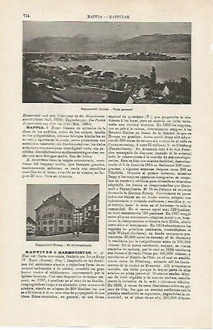 LAMINA ESPASA 15968: Vista de Rapperswill Suiza