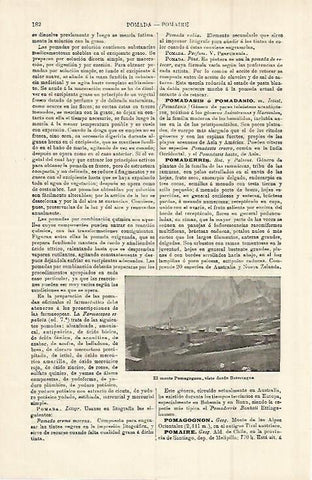 LAMINA ESPASA 15193: Monte Pomagognon