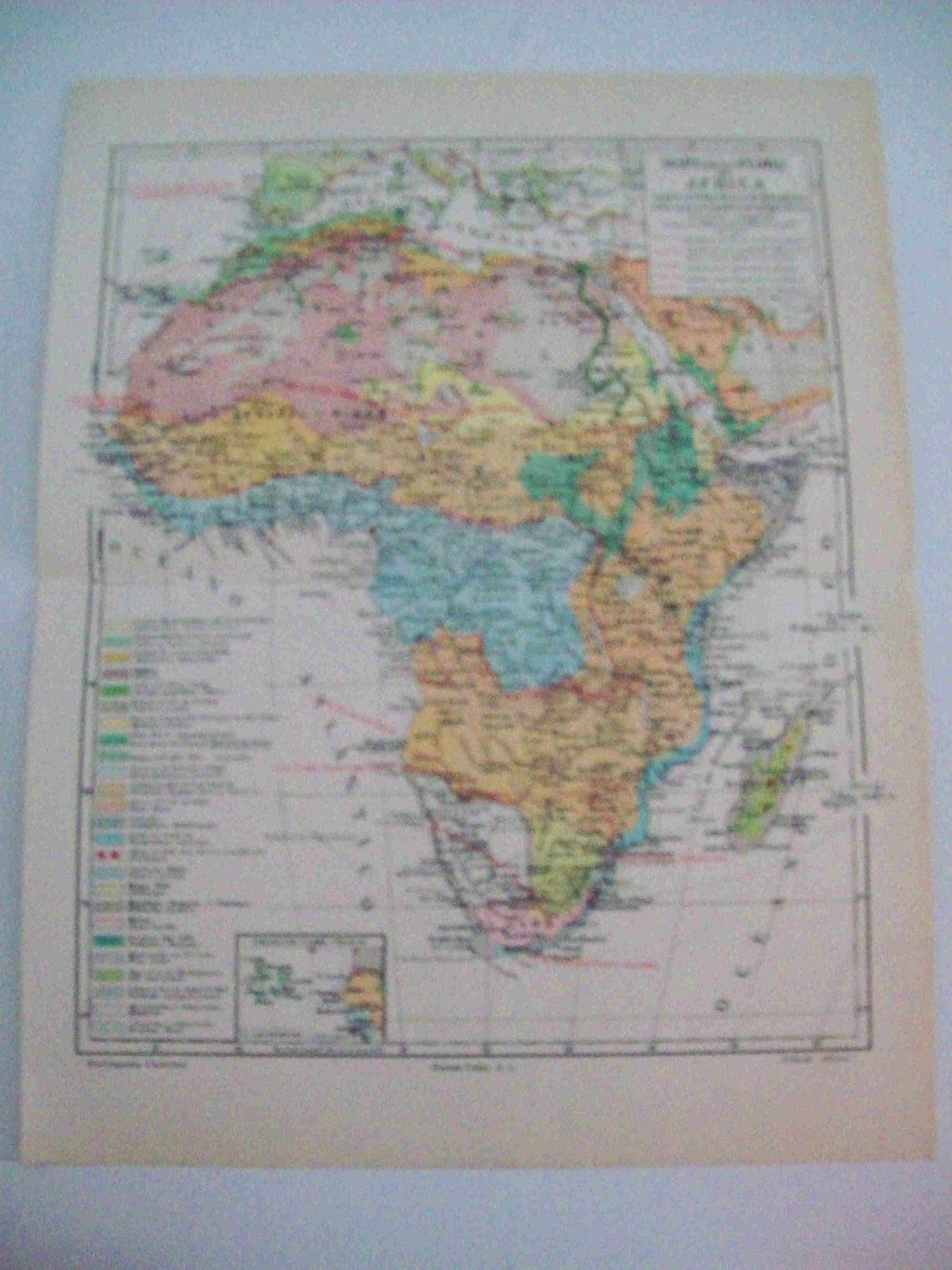 LAMINA ESPASA 15362: Mapa de la flora de Africa