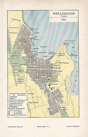LAMINA ESPASA 1578: Plano de Wellington Nueva Zelanda