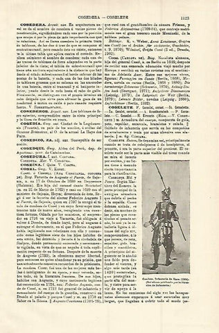 LAMINA ESPASA 15092: Coselete de 1560 de la Infanteria de linea