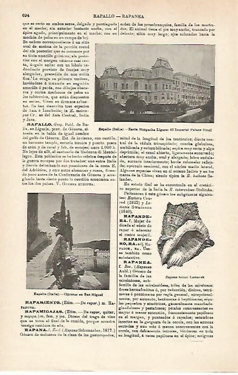 LAMINA ESPASA 15964: Palace Hotel de Rapallo Italia