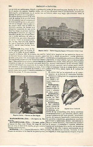 LAMINA ESPASA 15964: Palace Hotel de Rapallo Italia