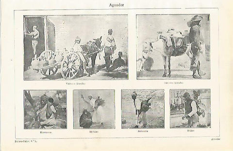 LAMINA ESPASA 15421: Aguador