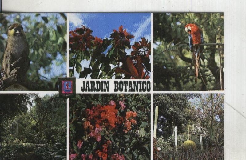 Postal: Tenerife-La Orotava: Jardin Botanico