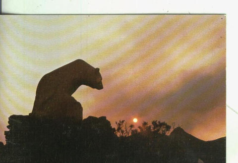 Postal 004341: Monumento al oso en los picos de europa