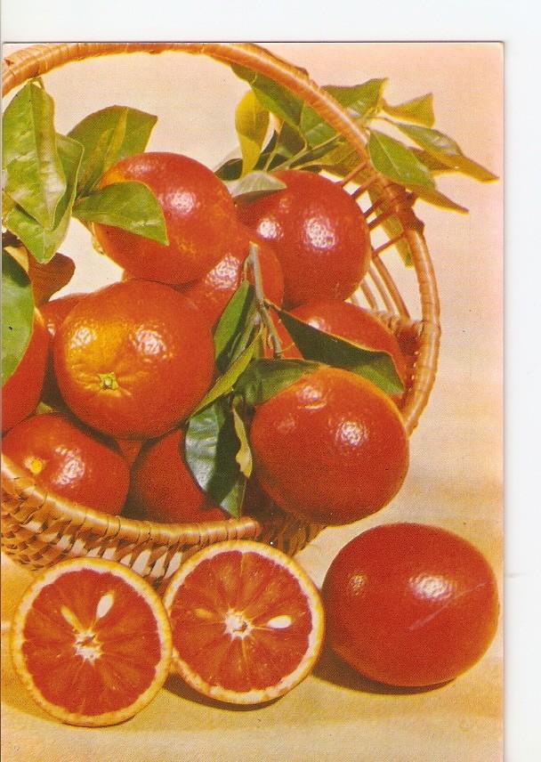 Postal 027779 : Desde España