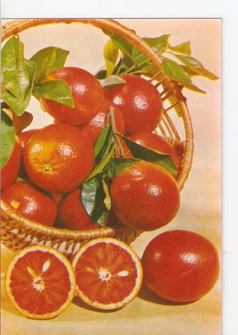Postal 027779 : Desde España