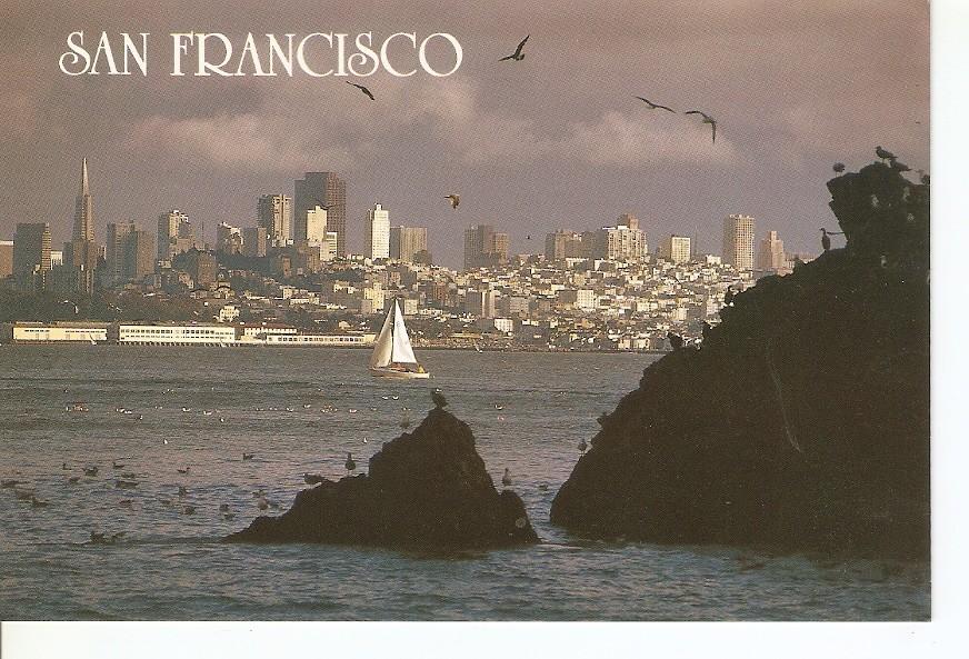 Postal 032049 : San Francisco Seagulls and sall boats on San Francisco Bay with the city in the distance