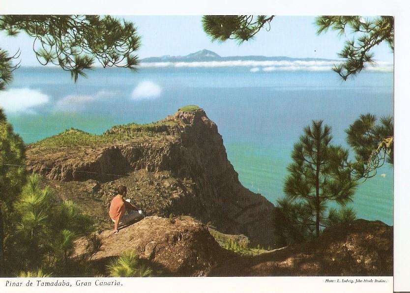 Postal 034242 : Pinar de Tamadaba Gran Canaria