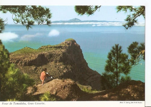 Postal 034242 : Pinar de Tamadaba Gran Canaria
