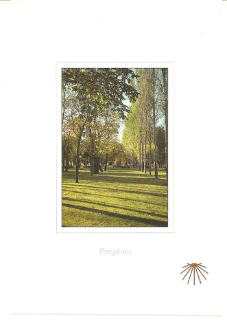 Postal 044932 : Camino de Snatiago. Vuelta del Castillo