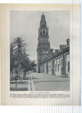 Lamina/sheet/feuille numerada 215/216:  Vista y Torre de la catedral de Cordoba 