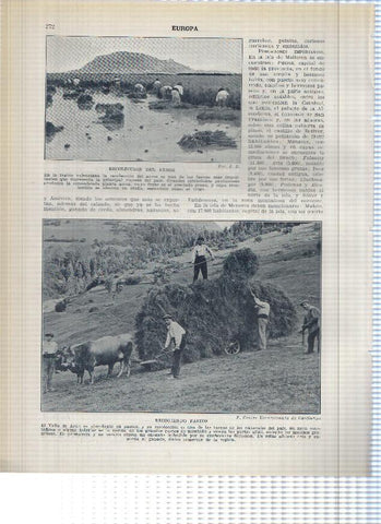 Lamina/sheet/feuille numerada 271/272: Vista de Jativa, Mequinenza,, recoleccion de arroz y de pastos