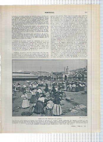 Lamina/sheet/feuille numerada 301/302: Mercado de pescado en Lisboa, Recogiendo corcho en la provincia de Alemtejo y cargando paja en villa franca de Xira