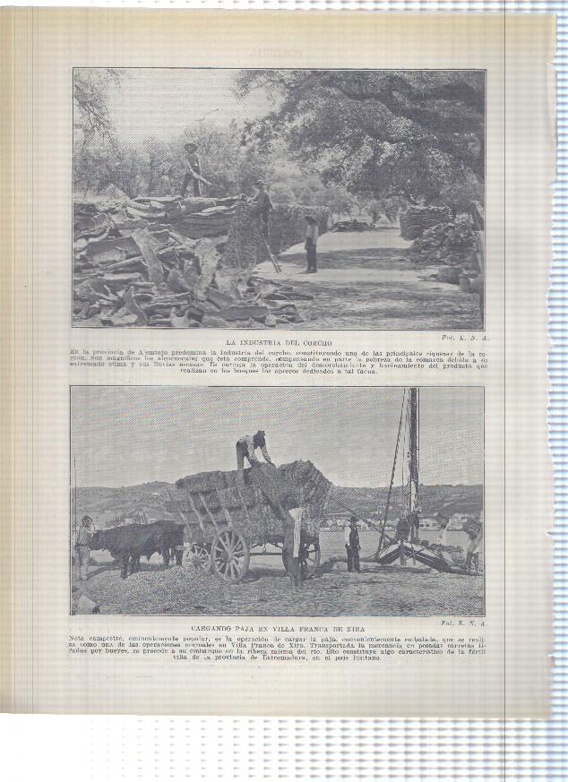 Lamina/sheet/feuille numerada 301/302: Mercado de pescado en Lisboa, Recogiendo corcho en la provincia de Alemtejo y cargando paja en villa franca de Xira