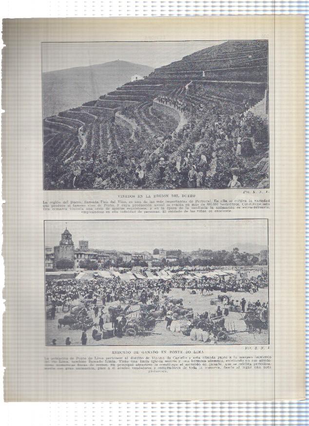 Lamina/sheet/feuille numerada 299/300:  Viñedos en la regio del Duero, Mercado de ganado en Ponte do Lima, Puerto pesquero de Lisboa