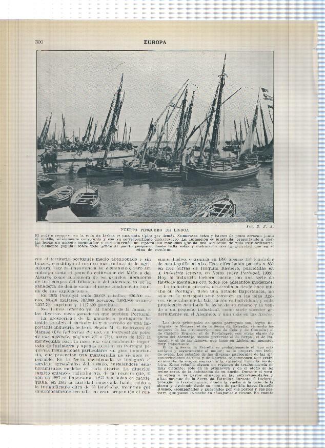 Lamina/sheet/feuille numerada 299/300:  Viñedos en la regio del Duero, Mercado de ganado en Ponte do Lima, Puerto pesquero de Lisboa