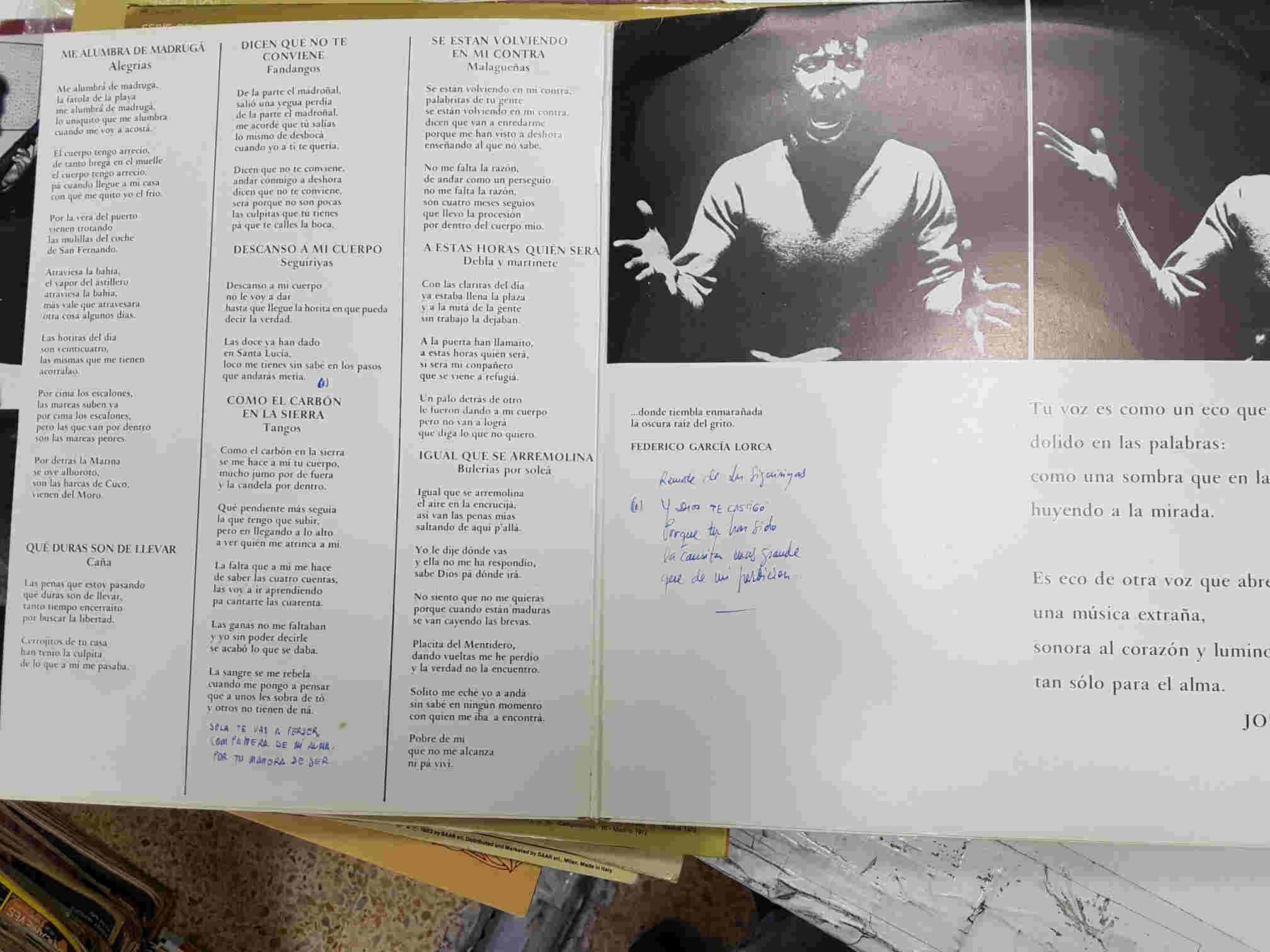 LP: La Raiz del Grito - Diego Clavel. Ariola