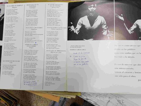 LP: La Raiz del Grito - Diego Clavel. Ariola