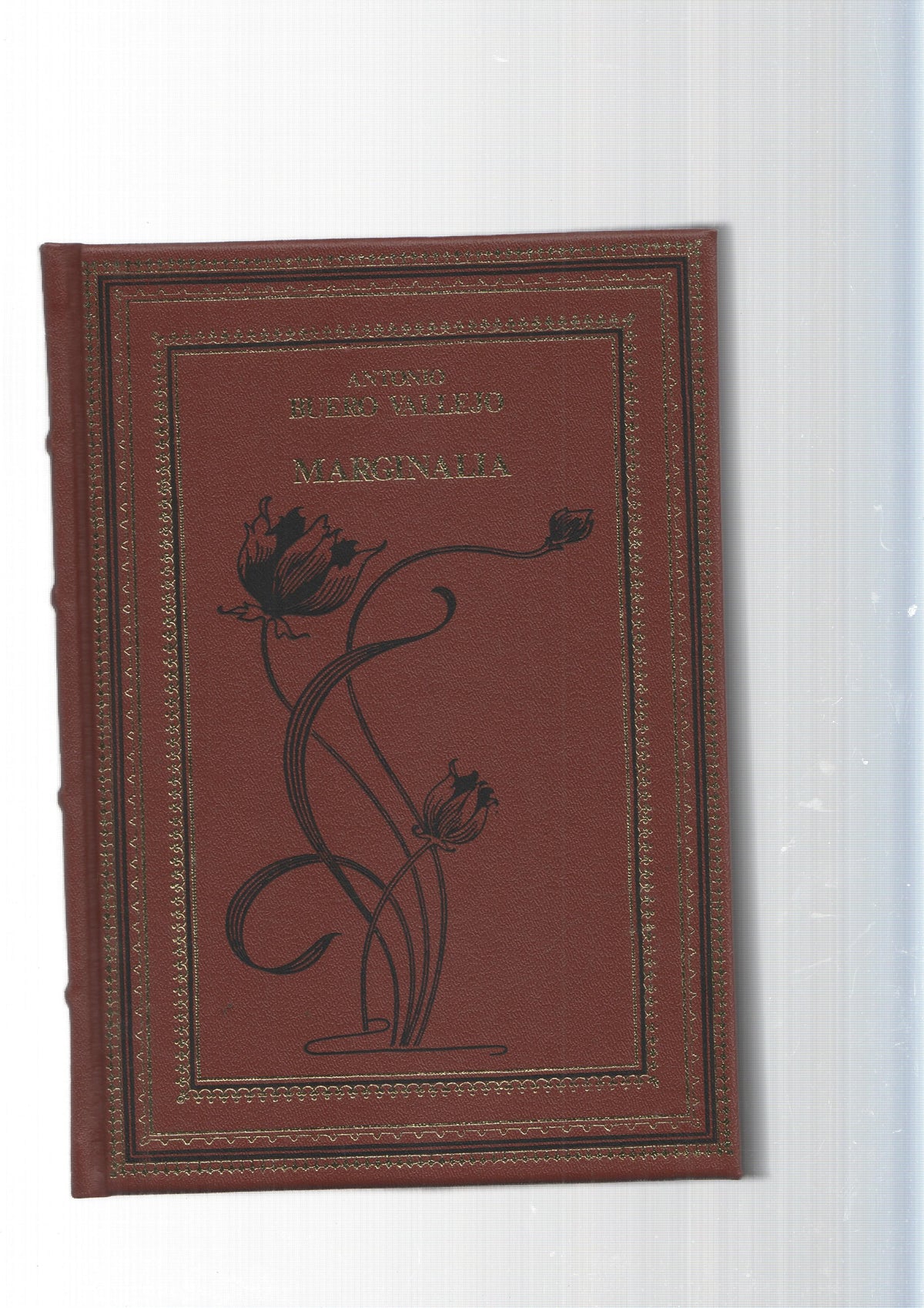 Grandes Genios de la Literatura Universal, Vol.78: Marginalia- La señal que se espera-Diana-Poemas