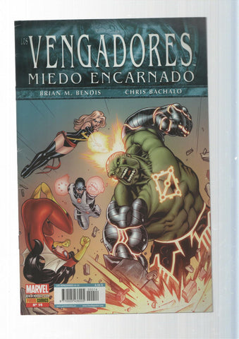 Panini Comics: Los Vengadores año 2, numero 14 - Miedo Encarnado. Marvel