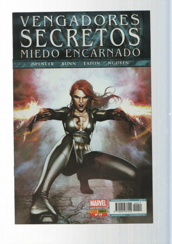 Panini Comics: Vengadores Secretos año 2, numero 14 - Miedo Encarnado. Marvel