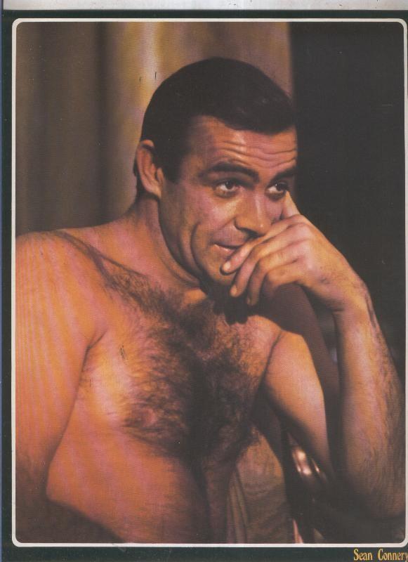 Galeria de estrellas lamina numero 108: Sean Connery