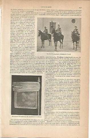 LAMINA ESPASA 7970: Husares de Pavia