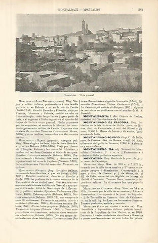 LAMINA ESPASA 8582: Vista general de Montalcino Italia