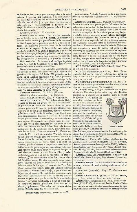 LAMINA ESPASA Alemania 12993: Escudo de Aurich Alemania