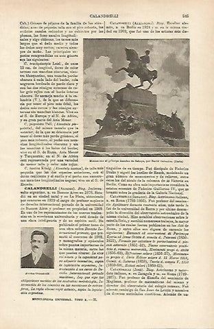LAMINA ESPASA 14692: Monumento al principe Amadeo de Saboya en Turin