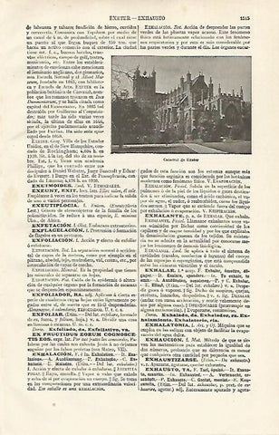 LAMINA ESPASA 16462: Catedral de Exeter Inglaterra