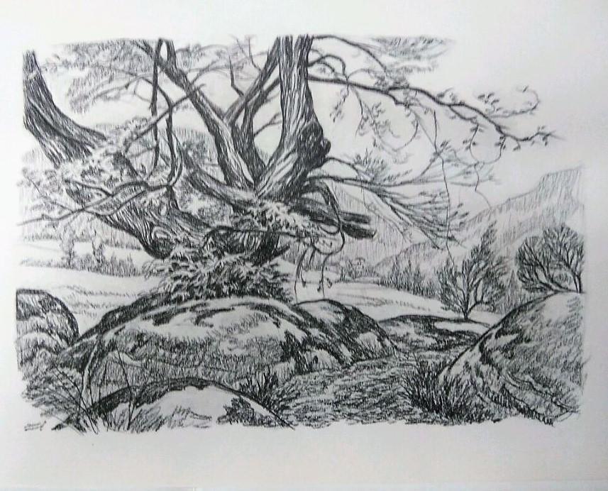 Laminas Carlos Freixas: Paisajes II 05- ARBOL EN CAMPO CON PUEBLO AL FONDO (Serie estudios 24)
