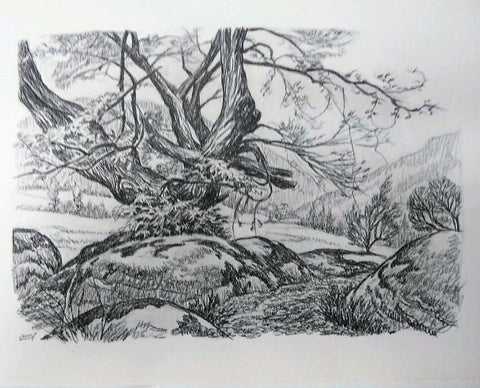 Laminas Carlos Freixas: Paisajes II 05- ARBOL EN CAMPO CON PUEBLO AL FONDO (Serie estudios 24)