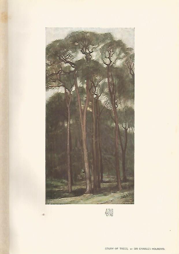 LAMINA 7063: Study of Trees por Sir Charles Holroyd
