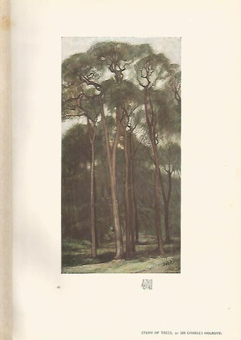 LAMINA 7063: Study of Trees por Sir Charles Holroyd