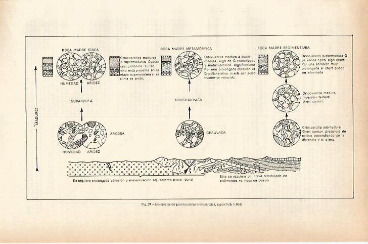 LAMINA ESPASA 26677: Interpretacion genetica de las ortocuarcitas segun Folk